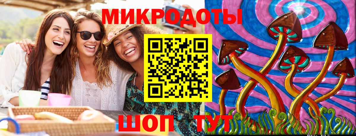 Галлюциногенные грибы мицелий Кандалакша