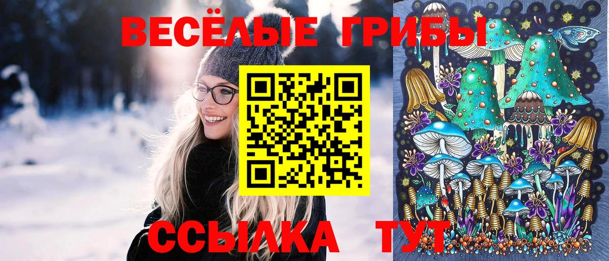 Кандалакша  Галлюциногенные грибы GOLDEN TEACHER  Вход с VPN 